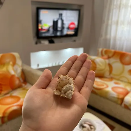 Seashell *